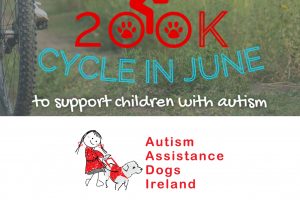 autism ireland fundraiser